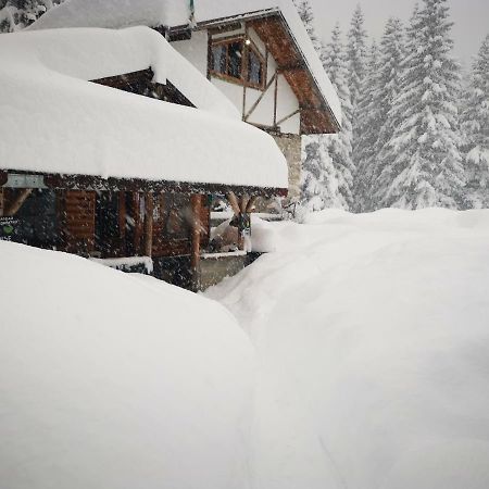 Lovna Hut Villa Panichishte Luaran gambar