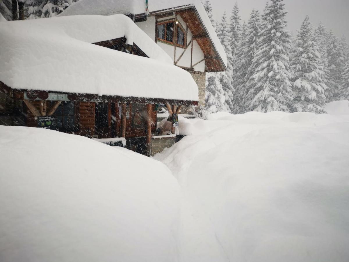 Lovna Hut Villa Panichishte Luaran gambar